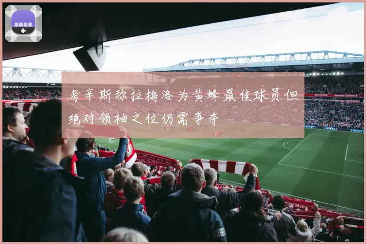 考辛斯称拉梅洛为黄蜂最佳球员但绝对领袖之位仍需争夺