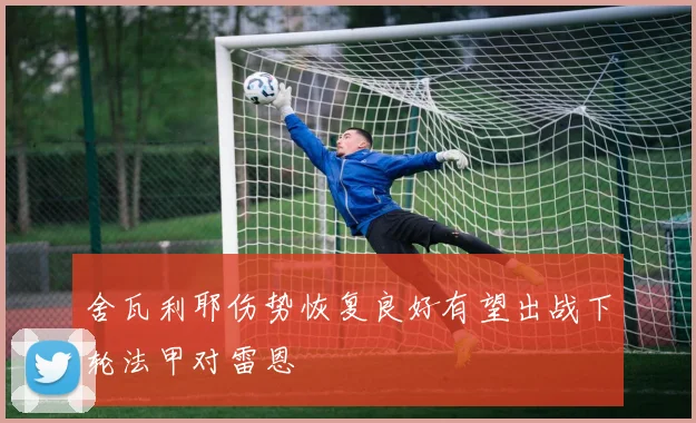 舍瓦利耶伤势恢复良好有望出战下轮法甲对雷恩