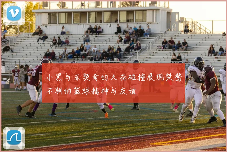 小黑与东契奇的火花碰撞展现桀骜不驯的篮球精神与友谊