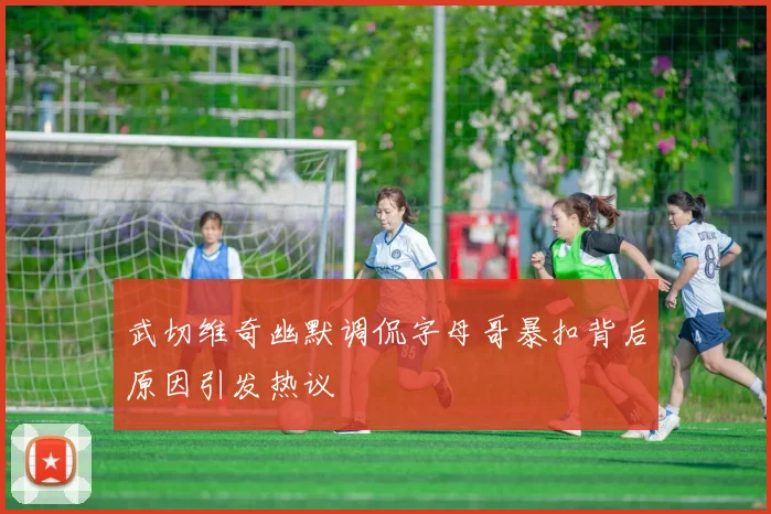 武切维奇幽默调侃字母哥暴扣背后原因引发热议