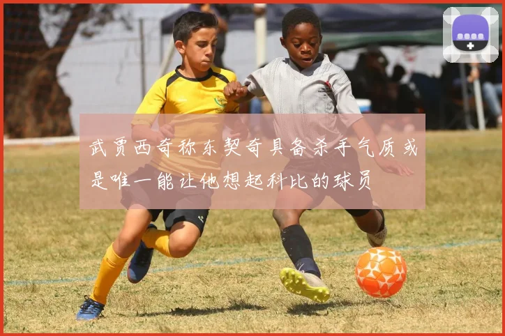 武贾西奇称东契奇具备杀手气质或是唯一能让他想起科比的球员