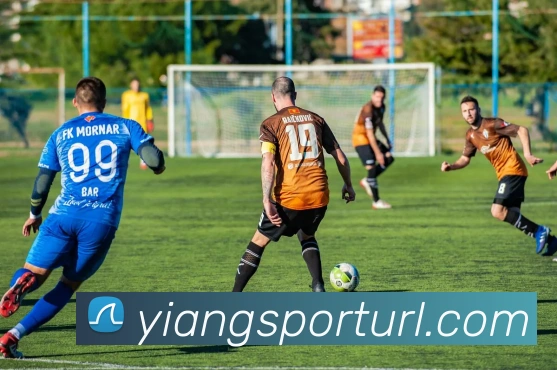 多媒体互动体验